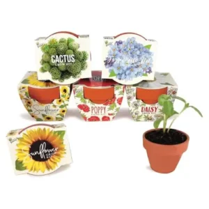 Seeds Terracotta Mini Grow Pots