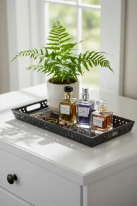 Black Decorative Trays for Organized Style